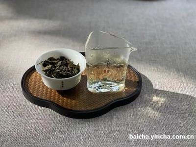 喝白茶会降尿酸吗吗，白茶能降低尿酸吗，喝白茶利尿吗