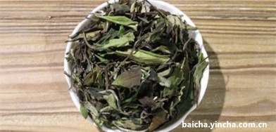 绿茶直播怎么看收费直播？绿茶直播能看吗？绿茶直播间怎么样？