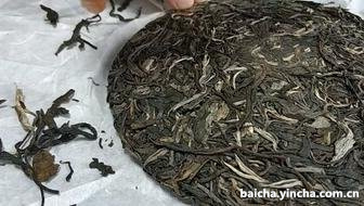 白茶园古树茶价格及图片表，多少？