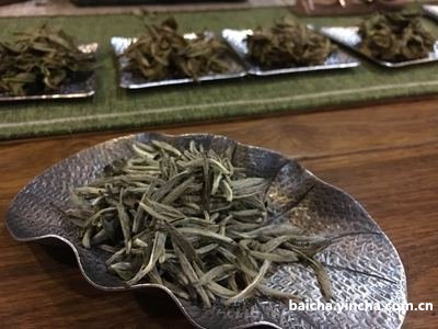 白茶饼有小虫能喝吗？是否有毒？看图片和视频，了解白茶茶饼里面的小虫，是否安全饮用？