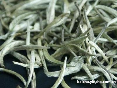 白茶一斤茶叶能出多少干茶