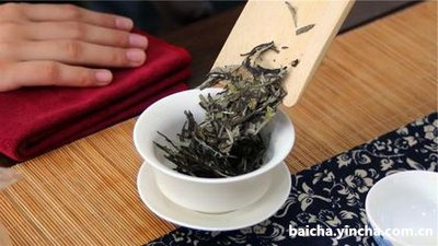 古树白茶价格一览表：生于7a雨林的白茶、那卡、白凤凰等古树白茶价格