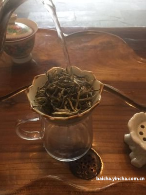 说你是绿茶的人都侮辱了绿茶