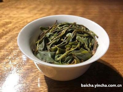 碗泡白茶出水后，不子的时间和方法