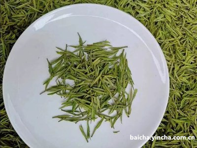 福建老白茶是哪里产的茶？产地与茶叶、茶具有关吗？