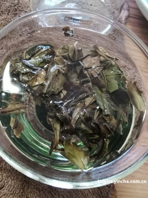 白茶加什么水果做调饮茶？配哪些水果最好？白茶能和水果一起煮吗？