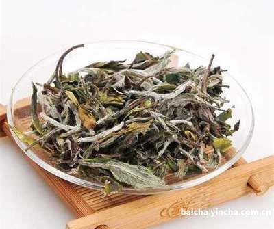 郴州白茶茶叶加盟哪家好些？郴州茶叶场位置在哪？