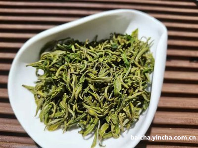 白茶属于哪个品种的茶叶最好？