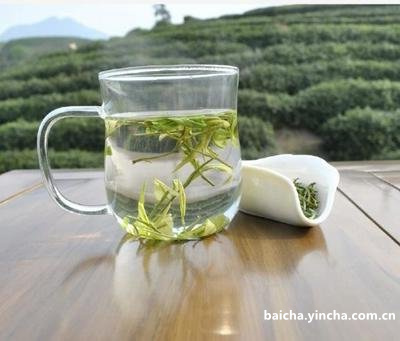 白茶属于凉性茶还是热性茶