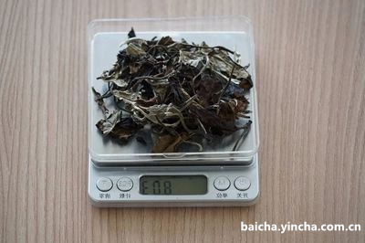 合肥口碑好的白茶茶叶有哪些品牌品种牌子