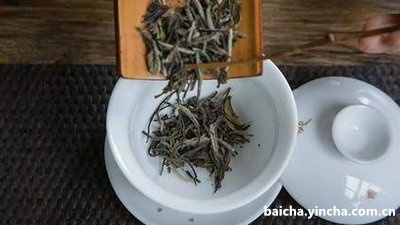 白茶和冰岛茶哪个好喝些？级别和价格有什么不同？是不是冰岛白茶最好？