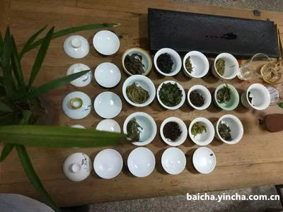 白茶怎么泡茶？正确方法与福建白茶泡茶技巧