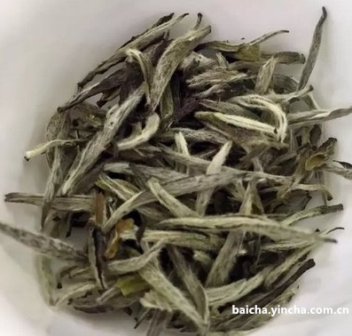 白茶黑茶普洱茶哪个更好喝一些？