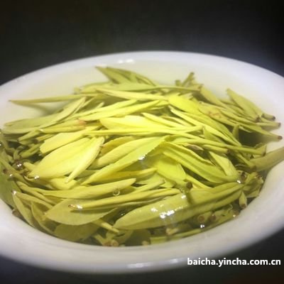 几月份的白茶喝？节新茶推荐！