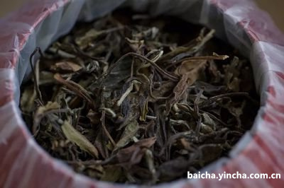 吃油炸的可以喝茶吗？解析油炸食物与茶饮搭配是否合适