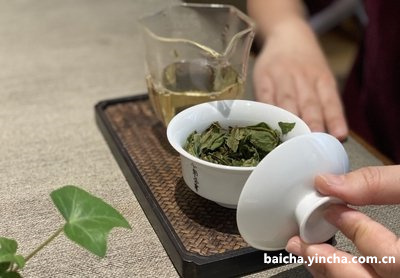 甲状腺绿茶能喝吗？甲状腺疾病能喝绿茶吗？甲状腺炎能喝绿茶吗？