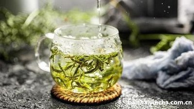 怎么让白茶茶花长粗一点？白茶花怎么养？(新手必看)