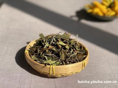 白茶村茶怎么样？了解白茶村茶业及其品牌，福建白茶村茶业白茶价格。