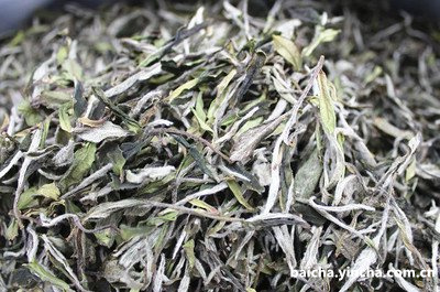 白茶、黑茶、普洱茶对比：哪个更好？