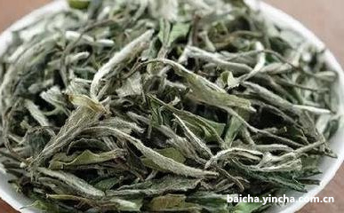 六妙白茶一年窖藏收藏级别