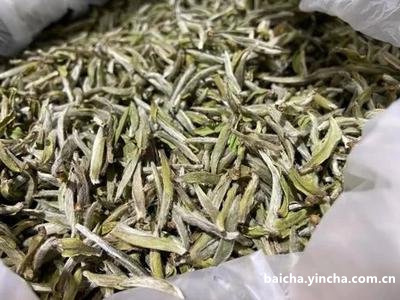 泉州老白茶有哪些厂家生产的茶叶及品牌