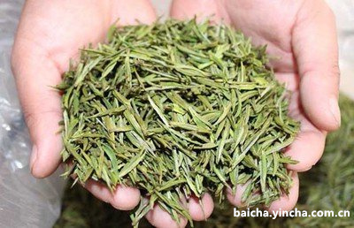 白茶也叫什么茶？完整解析茶名、茶叶和茶类！