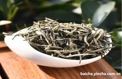 潮汕古茶树与东潮汕茶叶