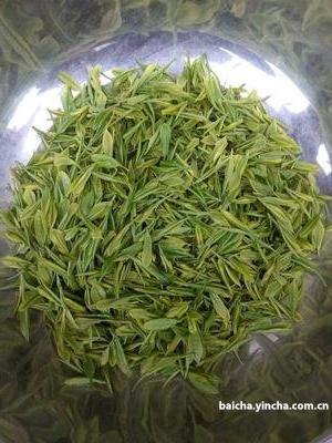 高山白茶护肤品的作用和功效，绿茶好一点吗？