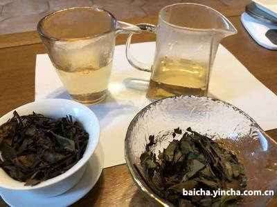 什么时候的白茶性价比最高，茶叶喝并且买最划算？