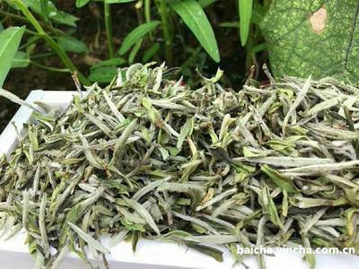 天福茗茶忘年贡眉1.2千克价格