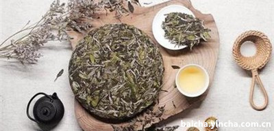 铜鼓白茶属于什么茶类类型？50克一盒多少钱？