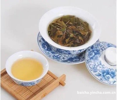 大白茶是白茶吗？解析与品尝大白茶的独特特点