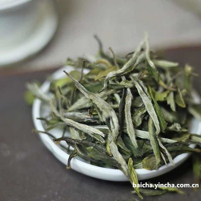 白茶可以和茉莉花一起泡水喝吗的功效