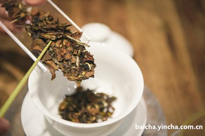 白茶红茶普洱茶哪个好？区别和档次高？好喝吗？