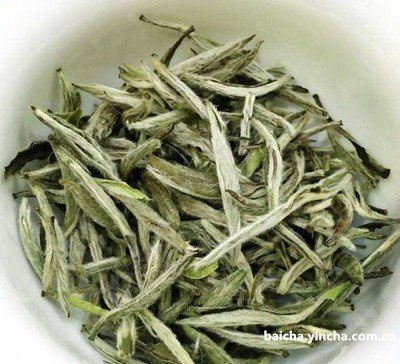 白茶村白茶与茶业公司，品牌茶厂，怎么样？