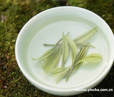 古树白茶品牌排行榜前十名