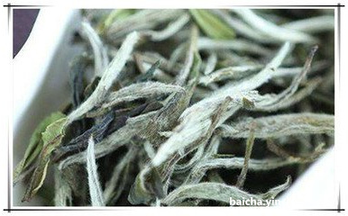 白茶可以用来煮茶叶蛋吗？为什么可以用来做茶叶蛋？