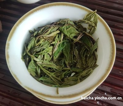 肝纤维化喝什么茶好？快速有效的茶品推荐