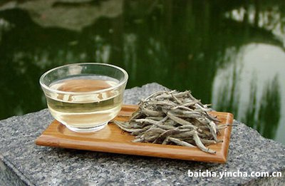 白茶不发酵茶：能否喝？有何好处？伤胃吗？