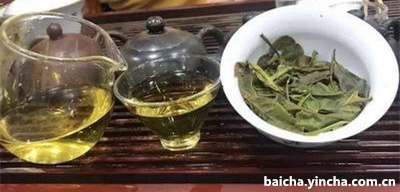 老白茶一斤多少钱，20年老白茶多少钱一斤，普通老白茶一斤多少