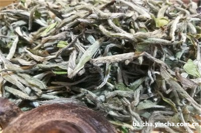 贵州白茶属于什么茶类？有哪些特点和功效？