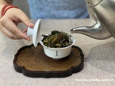 白茶与黑茶哪个适合泡茶喝的功效与作用