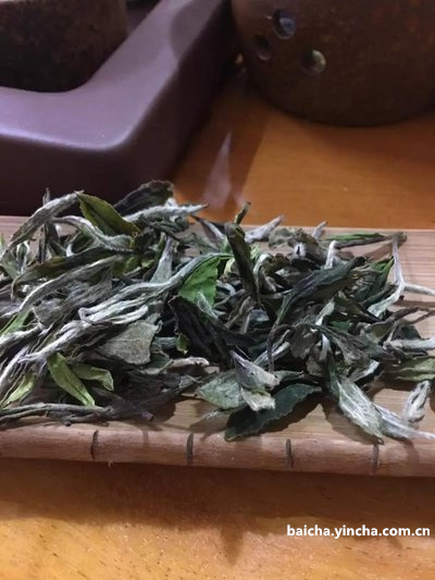 红茶茶叶和白茶茶叶哪个好，区别及功效