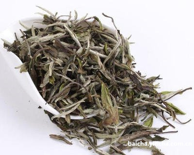 没有商标的白茶是什么茶类？没有品牌的茶叶叫什么？