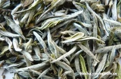 红茶茶叶和白茶茶叶哪个好，区别及功效