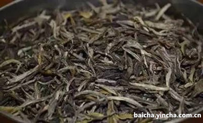 白茶饼一次用多少克合适喝？