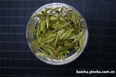 老白茶和老陈皮一起泡的功效与作用及禁忌