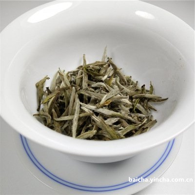 凤鸣山古树茶的特点及价格，属于鸣凤山，茶叶优质