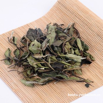 深圳古树白茶茶叶品牌排名