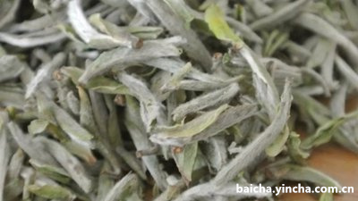 五峰千丈白毫是白茶还是绿茶？价格及茶业公司